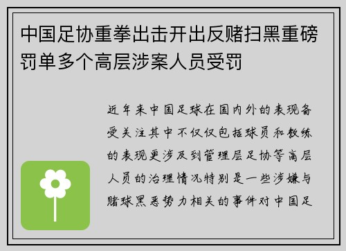中国足协重拳出击开出反赌扫黑重磅罚单多个高层涉案人员受罚